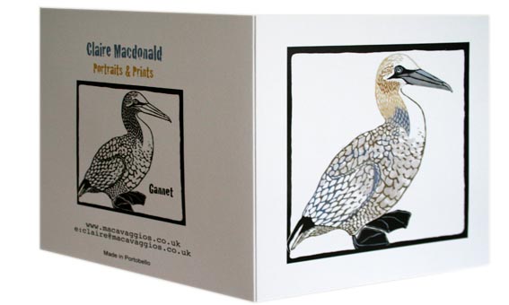 Gannet card photo